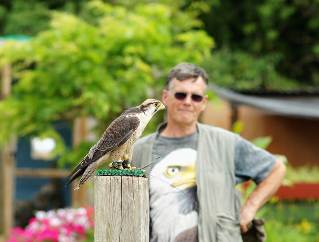 Huxley's Birds of Prey Centre, Horsham, West Sussex