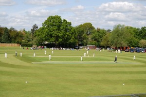 Playing Cricket at Horsham Cricket Club