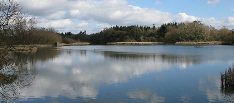 warnham nature reserve