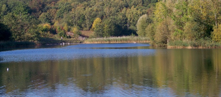 southwater country park