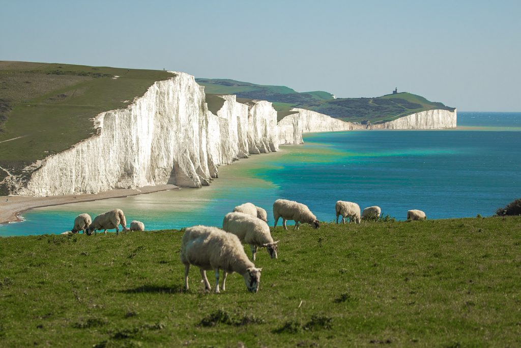 seven sisters