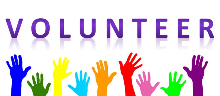 volunteer in horsham