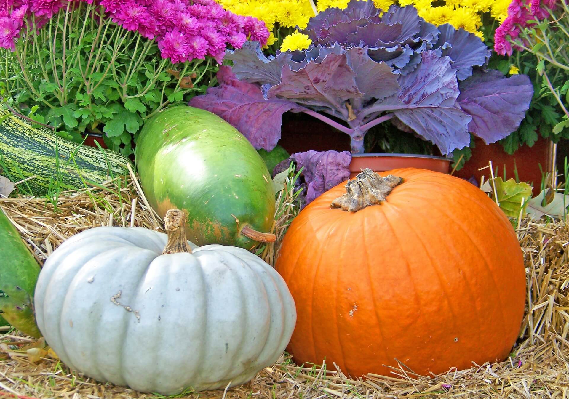 Pumpkin Arrangement