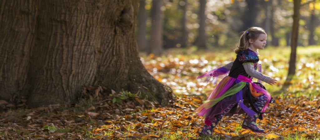 halloween at Nymans garden