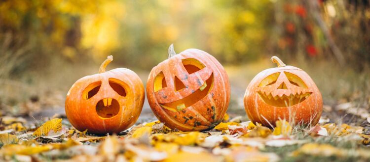 3 carved Pumpkins